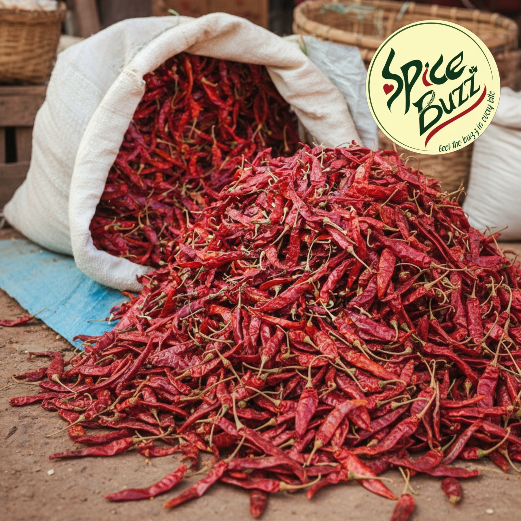 Byadagi Chilli